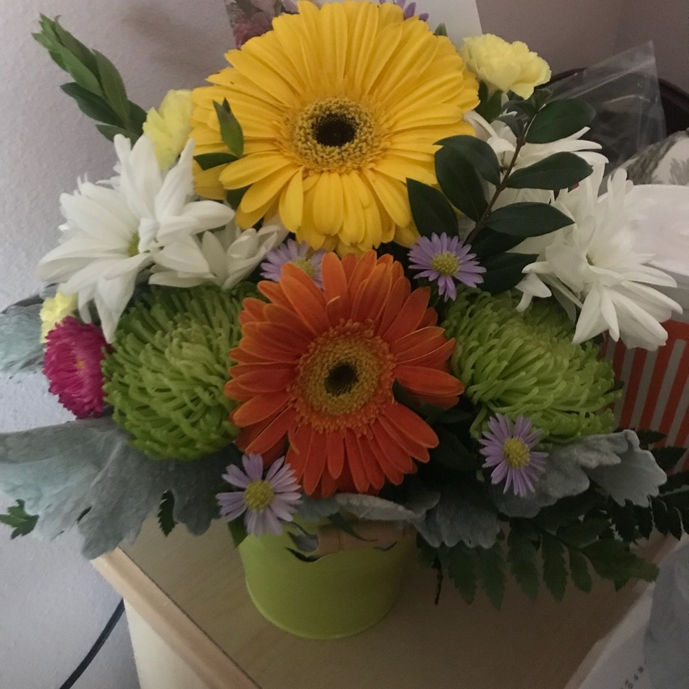 Meet your Posher, Marlene